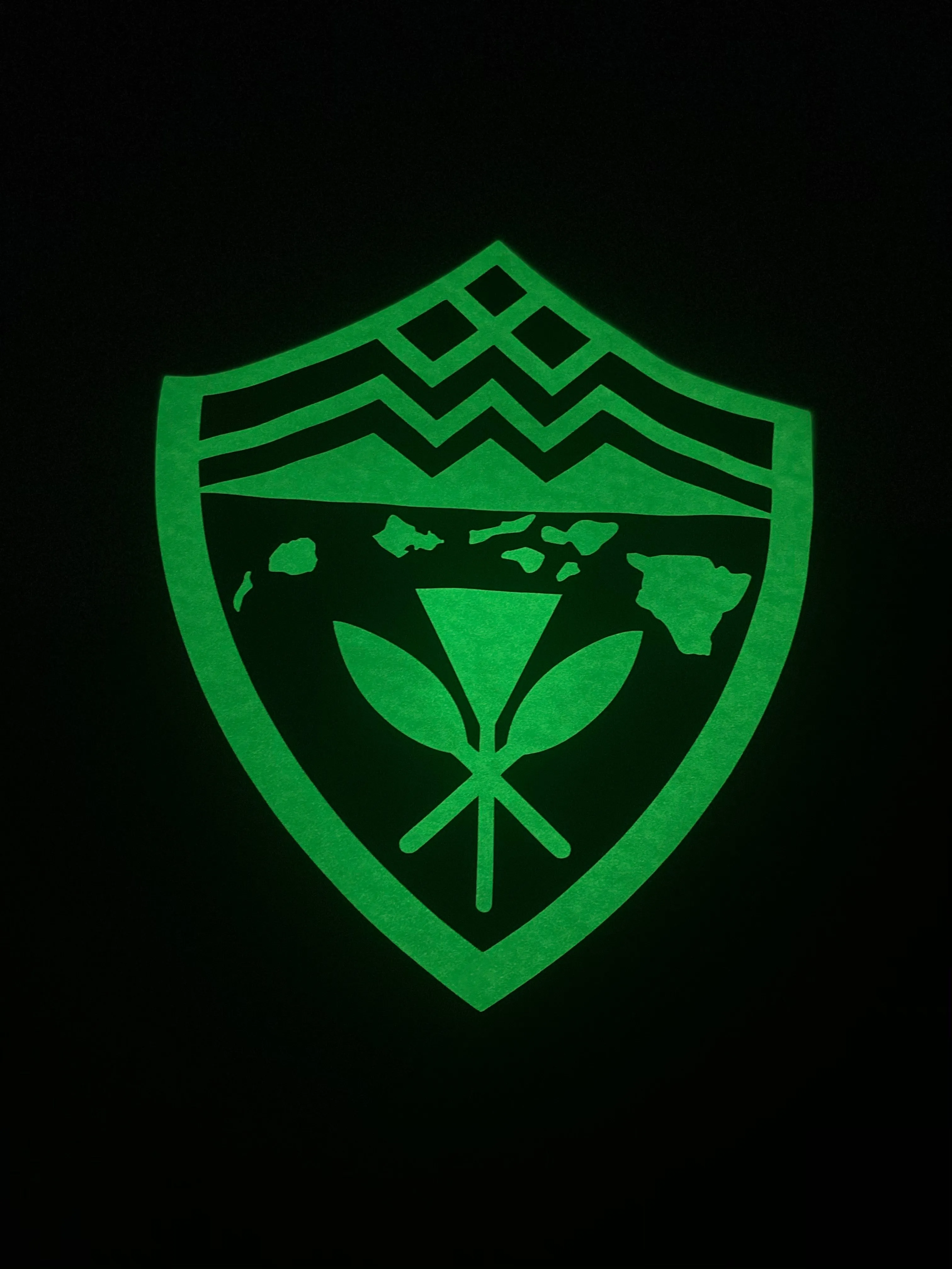 Hawaii Shield Glow Hoodies Glow in the Dark